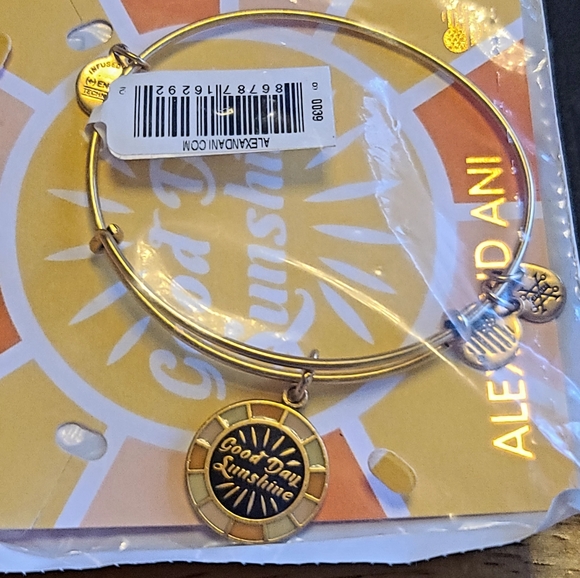Alex and Ani Good Day Sunshine Charm Bracelet - Rafaelian Gold New w/tags,Box - Picture 3 of 5